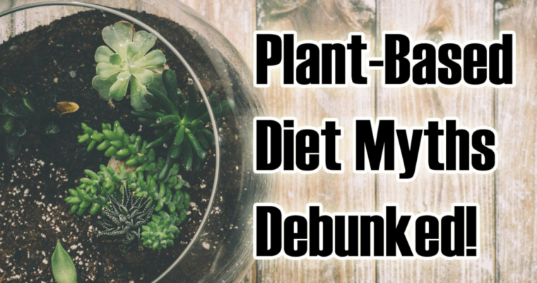 4 Common plant based diet myths debunked